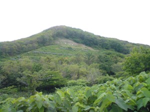 090721gokibiru2.jpg