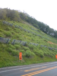090721gokibiru3.jpg