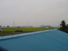 070811雨.jpg