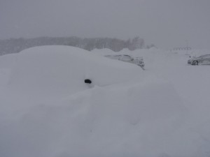 101117札幌市内大雪1.jpg