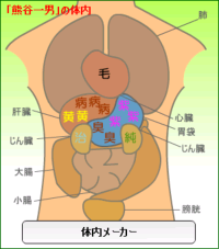 体内メーカー.png