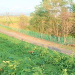 奈井江発電所構内保安柵修繕工事