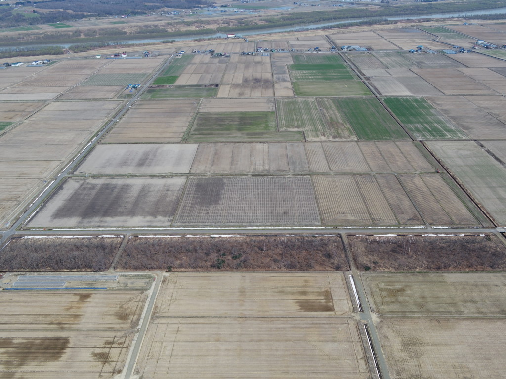 経営体　大富第2地区　42工区