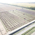 経営体　大富第2地区　41工区