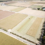 経営体　北美唄地区　41工区
