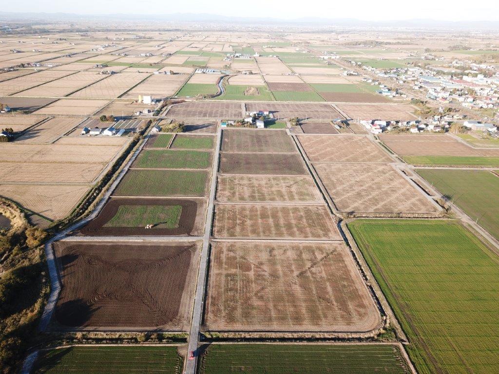 経営体　西南中央1地区　41工区