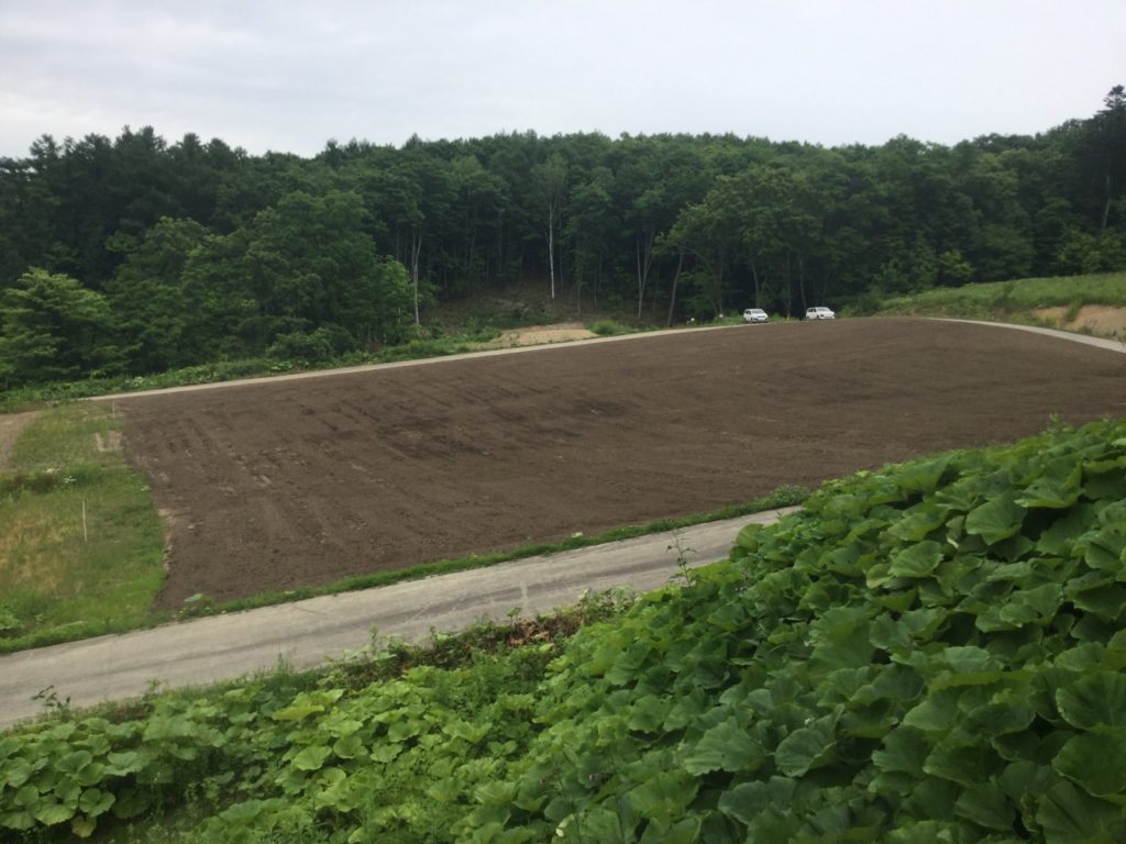 豊平川砂防事業の内　オカバルシ川透過型堰堤外工事