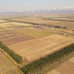経営体 豊葦第2外1地区 42工区