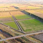 経営体　豊葦第2地区　43工区