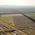 経営体　豊葦第2地区　43工区