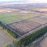 経営体 豊葦第2外1地区 42工区