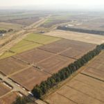 経営体　豊葦第2地区　43工区